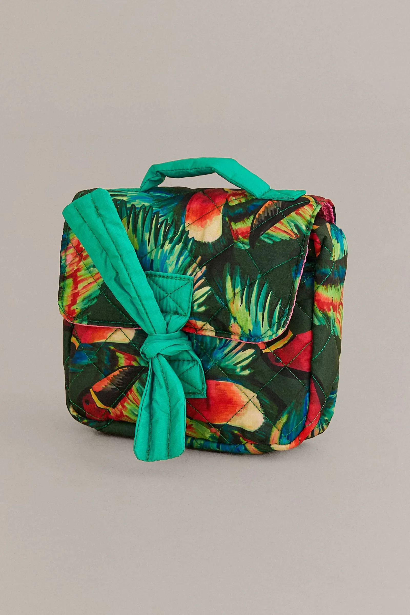  PAINTED TOUCANS CARRY THE SUN POUCH